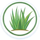 foam grass icon